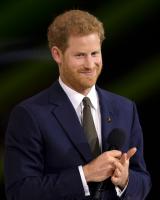 Harry van Wales